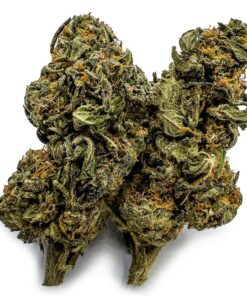 Buy Double Dream Cannabis Strain UK