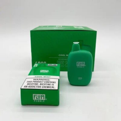 Buy FLUM Pebble Nicotine Vapes – 6000 Puffs UK